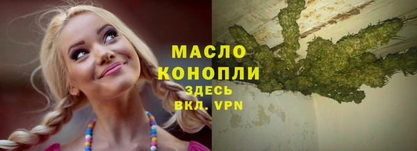 экстази Бородино