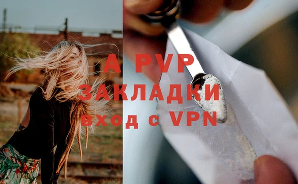 экстази Бородино